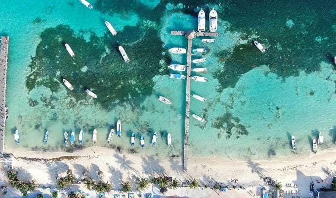 Fishermen unload their catch on the dock, Puerto Morelos